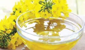 OIl
